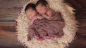 baby tweeling in nest