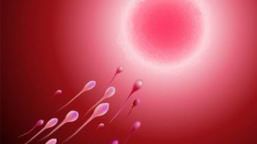 sperma testen