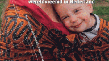 Wereldwijde gebruiken, wereldvreemd in Nederland - Yvonne Lefèber, Henk W.A. Voorhoeve