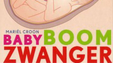 BabyBoomZwangerZapboek - Mariël Croon
