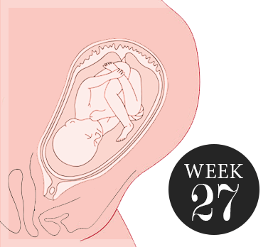 27 weken zwanger
