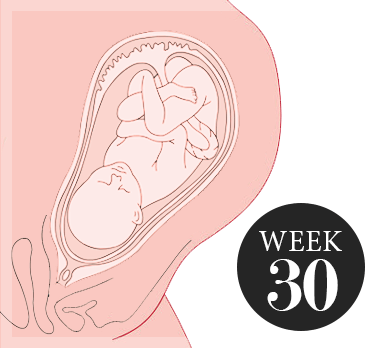30 weken zwanger