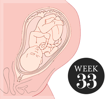 33 weken zwanger