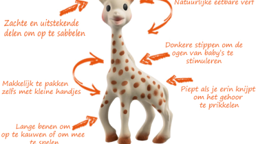 sophie de giraf ervaringen review