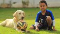 hond en jongen met voetbal