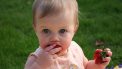 baby eet aardbei