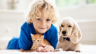 Hoe huisdieren bijdragen aan de ontwikkeling van je peuter